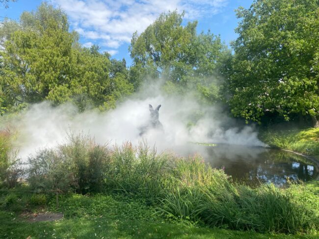 Brumisation au coeur de la fondation Beyeler